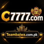 C777 Game