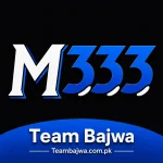 M333 GAME