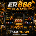 ER666 GAME